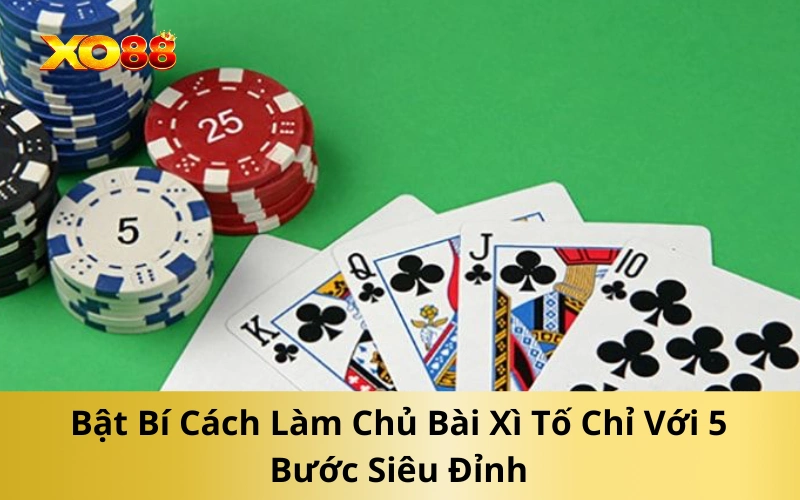 Bật Bí Cách Làm Chủ Bài Xì Tố Chỉ Với 5 Bước Siêu Đỉnh