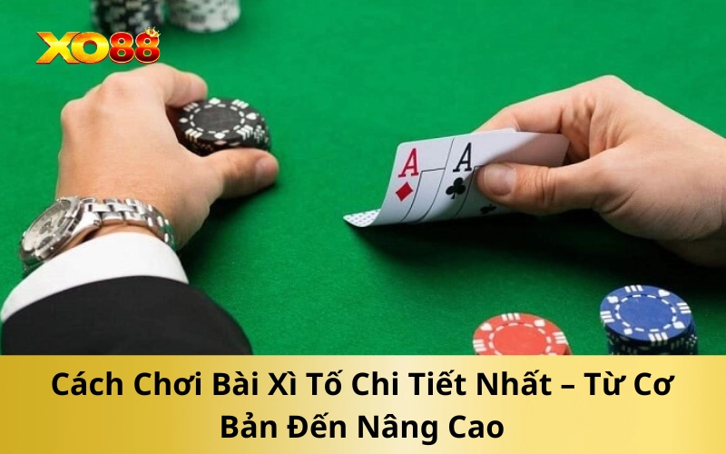 Cách Chơi Bài Xì Tố Chi Tiết Nhất – Từ Cơ Bản Đến Nâng Cao