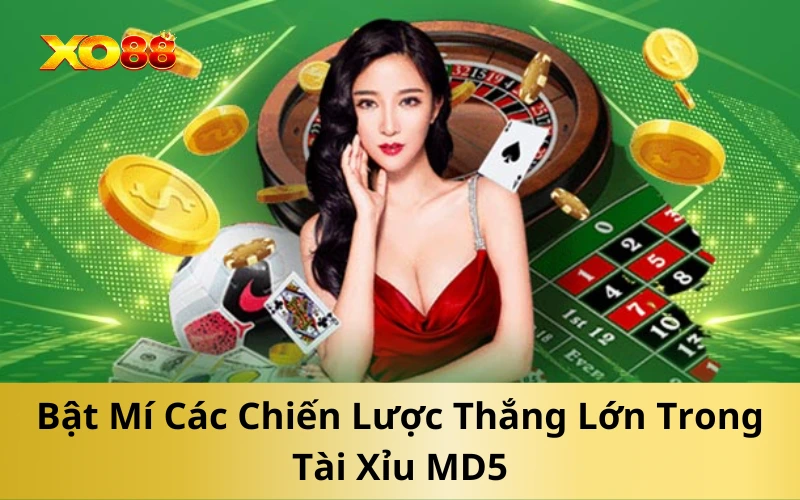 Bật Mí Các Chiến Lược Thắng Lớn Trong Tài Xỉu MD5