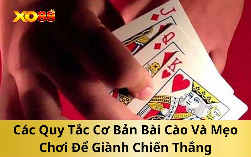 Các Quy Tắc Cơ Bản Bài Cào Và Mẹo Chơi Để Giành Chiến Thắng