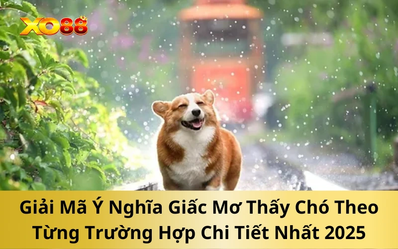 Giải Mã Ý Nghĩa Giấc Mơ Thấy Chó Theo Từng Trường Hợp Chi Tiết Nhất 2025