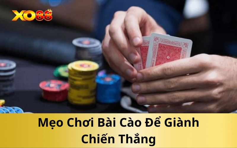Mẹo Chơi Bài Cào Để Giành Chiến Thắng